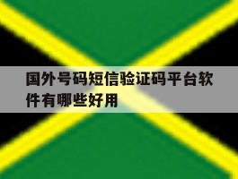 国外号码短信验证码平台软件有哪些好用