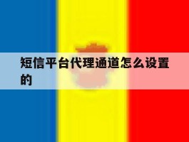 短信平台代理通道怎么设置的