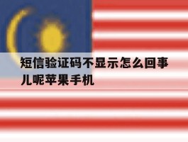 短信验证码不显示怎么回事儿呢苹果手机