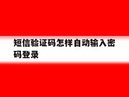 短信验证码怎样自动输入密码登录