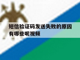 短信验证码发送失败的原因有哪些呢视频