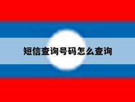 短信查询号码怎么查询