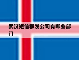 武汉短信群发公司有哪些部门