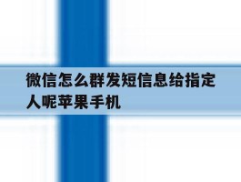 关于微信怎么群发短信息给指定人呢苹果手机的信息