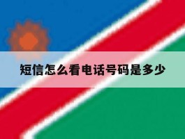 短信怎么看电话号码是多少