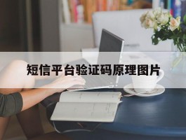短信平台验证码原理图片