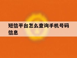 短信平台怎么查询手机号码信息