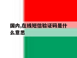 国内,在线短信验证码是什么意思