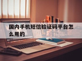 国内手机短信验证码平台怎么用的