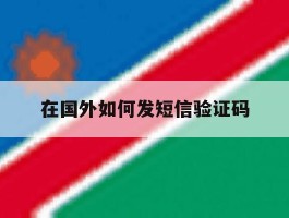 在国外如何发短信验证码