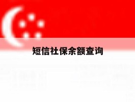 短信社保余额查询