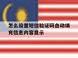 怎么设置短信验证码自动填充信息内容显示