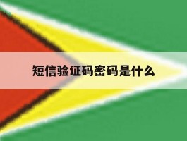 短信验证码密码是什么
