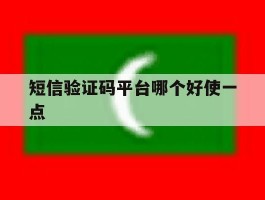 短信验证码平台哪个好使一点