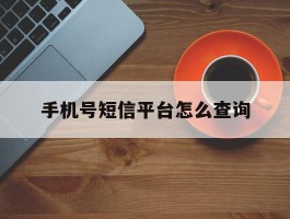 手机号短信平台怎么查询