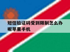 短信验证码受到限制怎么办呢苹果手机