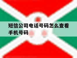 短信公司电话号码怎么查看手机号码