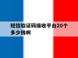 短信验证码接收平台20个多少钱啊