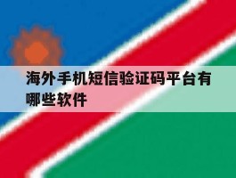 海外手机短信验证码平台有哪些软件