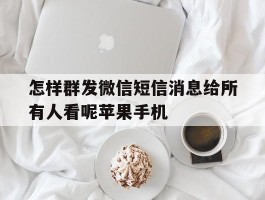 怎样群发微信短信消息给所有人看呢苹果手机的简单介绍
