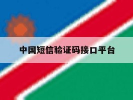 中国短信验证码接口平台