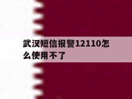 武汉短信报警12110怎么使用不了