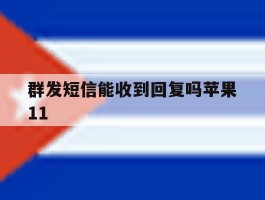 群发短信能收到回复吗苹果11