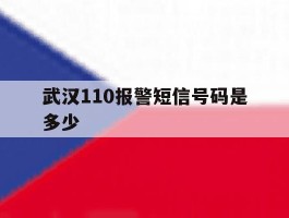 武汉110报警短信号码是多少