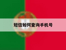 短信如何查询手机号