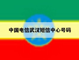 中国电信武汉短信中心号码