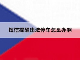 短信提醒违法停车怎么办啊