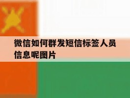 微信如何群发短信标签人员信息呢图片
