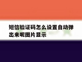 短信验证码怎么设置自动弹出来呢图片显示