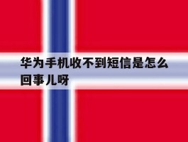 华为手机收不到短信是怎么回事儿呀