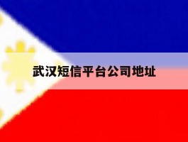 武汉短信平台公司地址