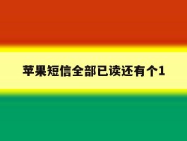 苹果短信全部已读还有个1