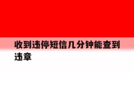 收到违停短信几分钟能查到违章