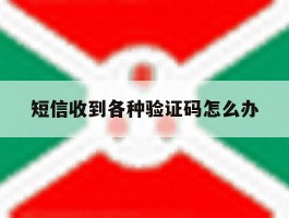 短信收到各种验证码怎么办