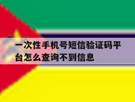 一次性手机号短信验证码平台怎么查询不到信息的简单介绍