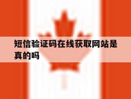 短信验证码在线获取网站是真的吗