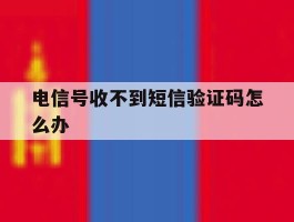 电信号收不到短信验证码怎么办