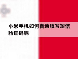 小米手机如何自动填写短信验证码呢