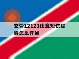 交管12123违章短信提醒怎么开通