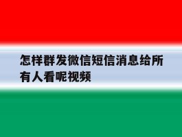 怎样群发微信短信消息给所有人看呢视频