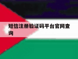 短信注册验证码平台官网查询