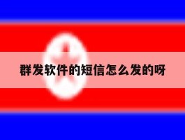 群发软件的短信怎么发的呀