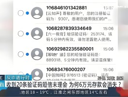 关于手机验证码短信接收平台6位数密码是多少啊的信息