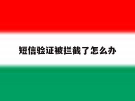 短信验证被拦截了怎么办