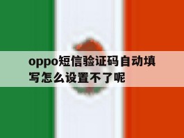 oppo短信验证码自动填写怎么设置不了呢