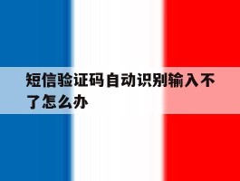 短信验证码自动识别输入不了怎么办